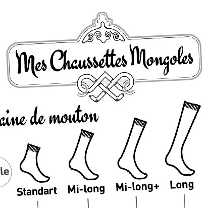 Habillage du camion MCM